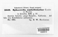Sphaerella umbellulariae image